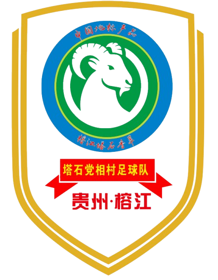 黨相村足球隊(duì)